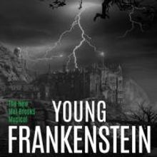 Civic Theatre's YOUNG FRANKENSTEIN Begins Tonight