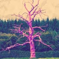 Ringwald to Present INTO THE WOODS, 5/2-6/2