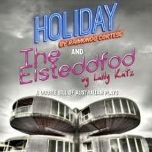 BWW Reviews: THE HOLIDAY & THE EISTEDDFOD, Bussey Building, May 19 2014