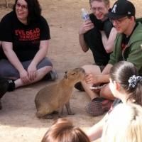 Photo Flash: Cast of EVIL DEAD THE MUSICAL Plays with Animals at Private Moapa…