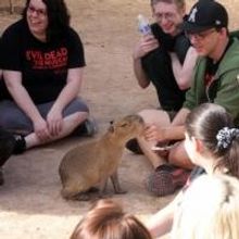 Photo Flash: Cast of EVIL DEAD THE MUSICAL Plays with Animals at Private Moapa Sanctu