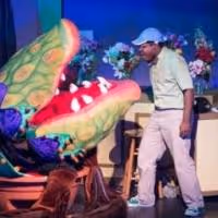 BWW Reviews: LITTLE SHOP OF HORRORS in Bridgeport