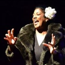 Photo Flash: First Look at Suzanne Froix and More in Beautiful Soup's SHADES OF BLUE