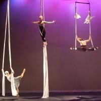 Luminario Ballet Performs 'LedZAerial' Pieces at 2013 Miami Dance Festival Today