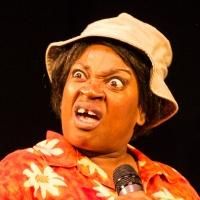 BWW Reviews: HELLO DARLIN'S at Langston Hughes Remembers a Comedy Pioneer