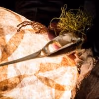 16th Street Theater to Present MARIPOSA NOCTURNA: A PUPPET TRIPTYCH, 8/15-17