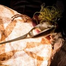 16th Street Theater to Present MARIPOSA NOCTURNA: A PUPPET TRIPTYCH, 8/15-17