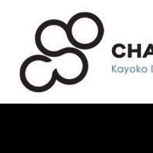 The Chattanooga Symphony & Opera Presents a Free Veteran's Day Concert, 11/11