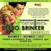 BWW Reviews: THE BEEBO BRINKER CHORNICLES - Fun, Humorous, and Thought-Provoking Pulp Photo