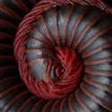 Hillcrest Camera Club Members Exhibit Work at Easton's State Theatre's Brown-Daub Gal