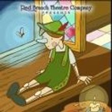 BWW Reviews: PINOCCHIO Engages All Ages