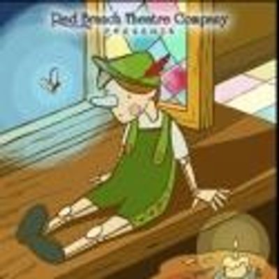 BWW Reviews: PINOCCHIO Engages All Ages