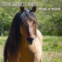 Tenor Anthony Kearns Headlines the Wild for Life Foundation's CHARITY SPRING BENEFIT…