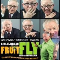 BWW Quick Take: Leslie Jordan's Hilarious and Touching One-Man Show at Lannie's…