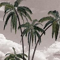 BCT Presents SOUTH PACIFIC, Now thru 3/29