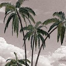 BCT Presents SOUTH PACIFIC, Now thru 3/29