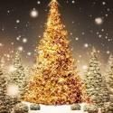 Break-Away Project Hosts An Evening of Stories, Music and Mulled Wine, Dec. 16