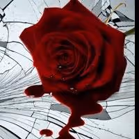 ROMEO & JULIET Opens 4/26 at The Secret Theatre