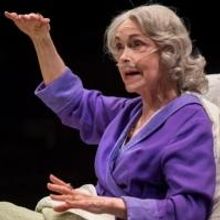 Photo Flash: First Look at Lookingglass Theatre Company's DEATH TAX, Now Playing Thro