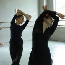BWW Interview: Mary Barton of the ARB Talks Dance and Inspiration