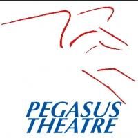 Pegasus Theatre Presents NONE OF THE ABOVE, Now thru 8/30