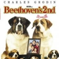 CSO Presents BEETHOVEN'S 2nd as Part of Friday Family Movie Night Tonight
