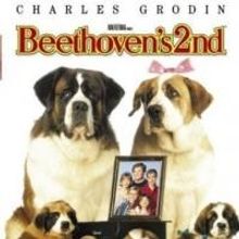 CSO Presents BEETHOVEN'S 2nd as Part of Friday Family Movie Night Tonight