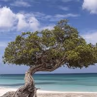 The Ritz-Carlton Hotel Company Grows Global Portfolio With The Opening Of Its Newest…