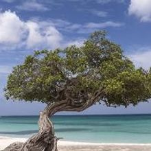 The Ritz-Carlton Hotel Company Grows Global Portfolio With The Opening Of Its Newest…