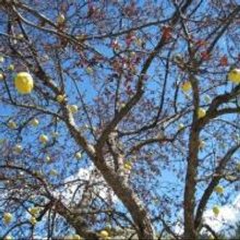 University of Montana's Schools of Music and Theatre & Dance Opens AVENUE Q Tonight