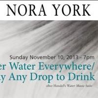 Nora York's WATER WATER EVERYWHERE Set for Joe's Pub Tonight