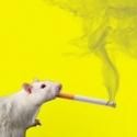 CANCER! THE MUSICAL Returns to Detroit 11/9