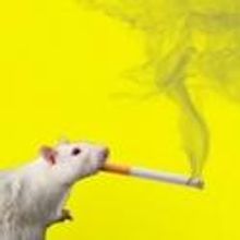 CANCER! THE MUSICAL Returns to Detroit 11/9