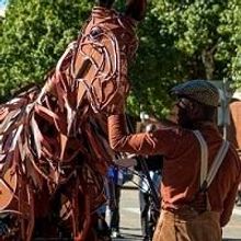 National Arts Festival Celebrates 40 Years of Artistry