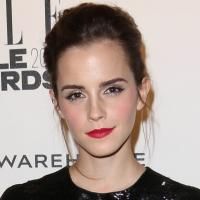 Fashion Photo of the Day 2/19/14 - Emma Watson