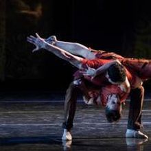 Photo Flash: PROGRAMACIÓN NOVIEMBRE 2013 CTBA