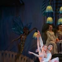Photo Flash: First Look at Colorado Ballet's THE NUTCRACKER