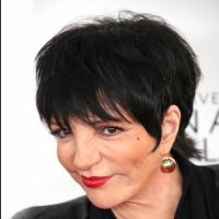 Liza Minnelli Backs Out of 8/4 Provincetown Concert on Doctor's Orders