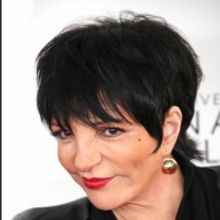 Liza Minnelli Backs Out of 8/4 Provincetown Concert on Doctor's Orders