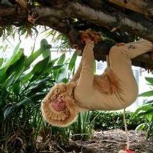 Photo Flash: First Look- The Old Mill Theatre Presents THE WIZARD OF OZ