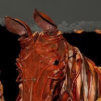 Photo Flash: Mary Berry Presents WAR HORSE's Joey with Poppy Bouquet