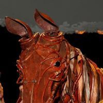 Photo Flash: Mary Berry Presents WAR HORSE&#039;s Joey with Poppy Bouquet