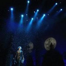 Photo Flash: Liam Mower Joins Matthew Bourne's EDWARD SCISSORHANDS