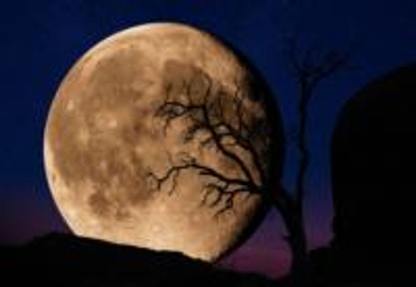 Photography Masters Cup Honors Peter Lik from The United States Photography Masters Cup Honors Peter Lik from The United States Image