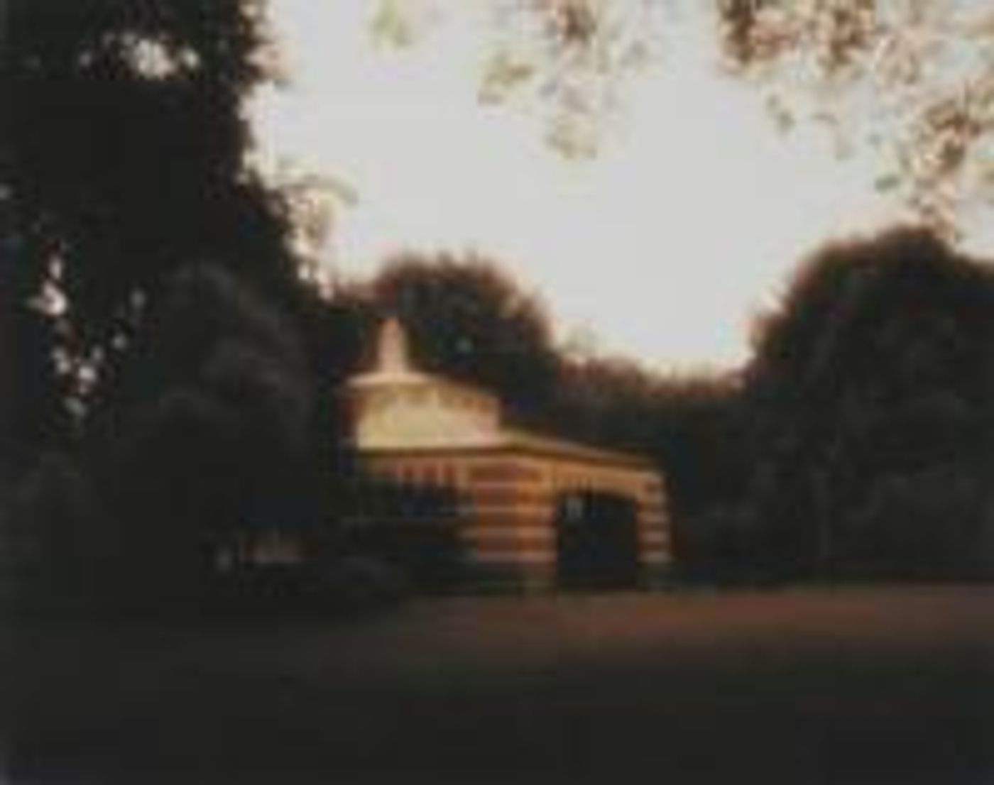 Photographer Ellen Fisch Exhibits New Enhanced Images in NYC Photographer Ellen Fisch Exhibits New Enhanced Images in NYC Image