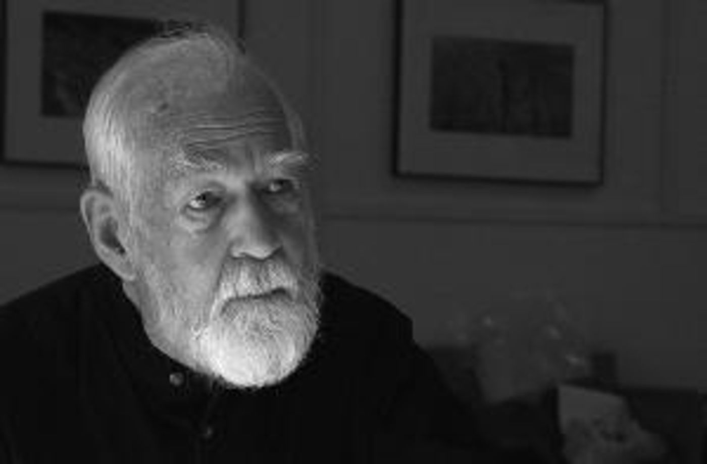 Photographer David Vestal Passes Away  Image