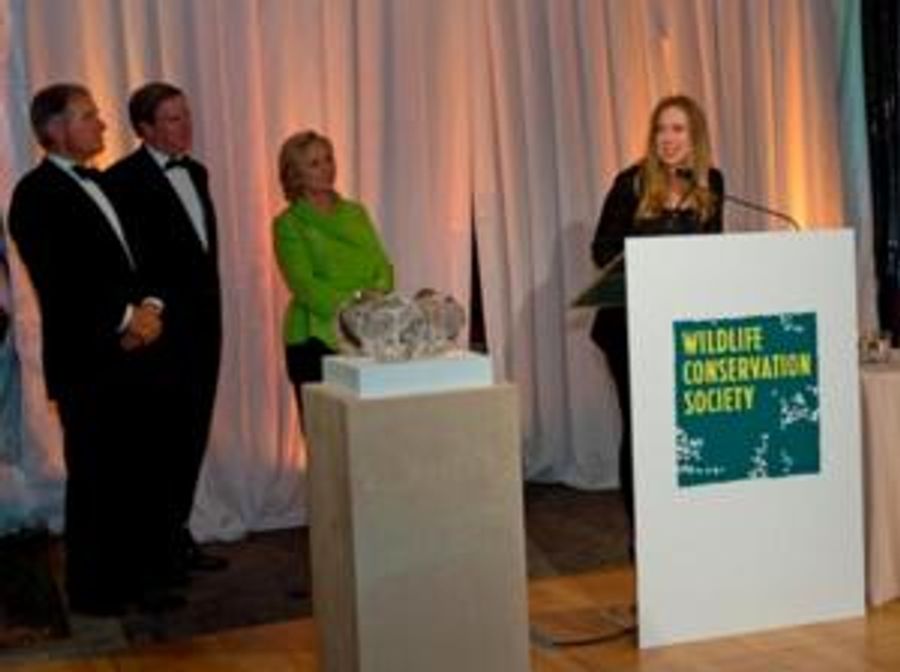 Photo Flash: WCS Honors Hillary Clinton at Annual Gala Image