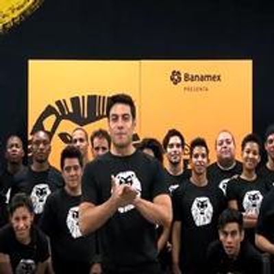 STAGE TUBE: THE LION KING Companies from Around the World Celebrate 80 Million Audience Members