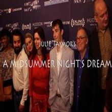 TV: On the Red Carpet for the NYC Premiere of Julie Taymor's A MIDSUMMER NIGHT'S…