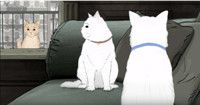 VIDEO: HBO Shares Official Trailer for ANIMALS, Premiering 2/5 Video